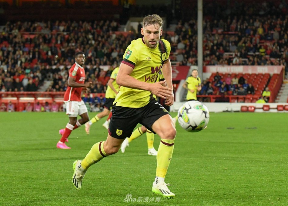 新金主的介 新金主的介