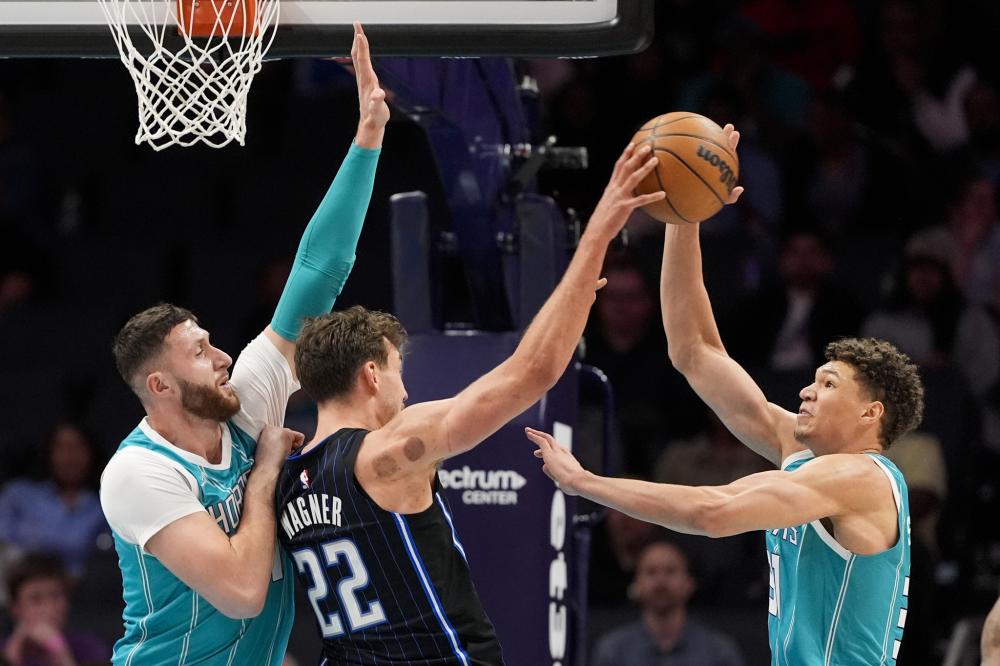 们提供了一 们提供了一