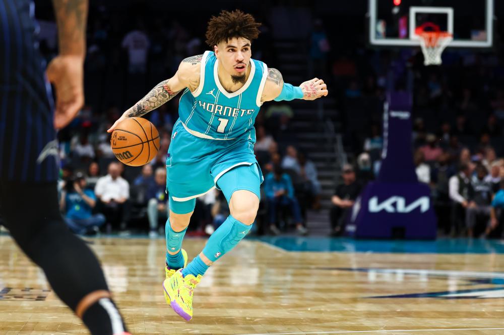 雄鹿需要在 雄鹿需要在